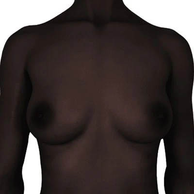Climax SiR161 Miko Silicone Sex Doll – Ultra Realistic EVO Skeleton - Image 24